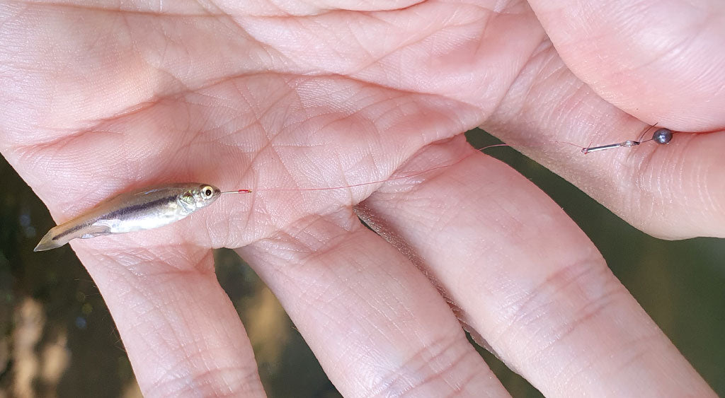 are micro fishing poles any good Peregrine Mr Series Ultra Light Fiberglass Rod expertly designed for finesse fishing What is this tiny fishing