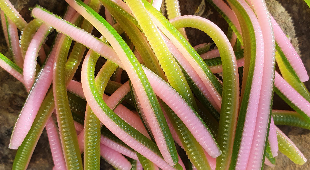 soft plastic trout worms