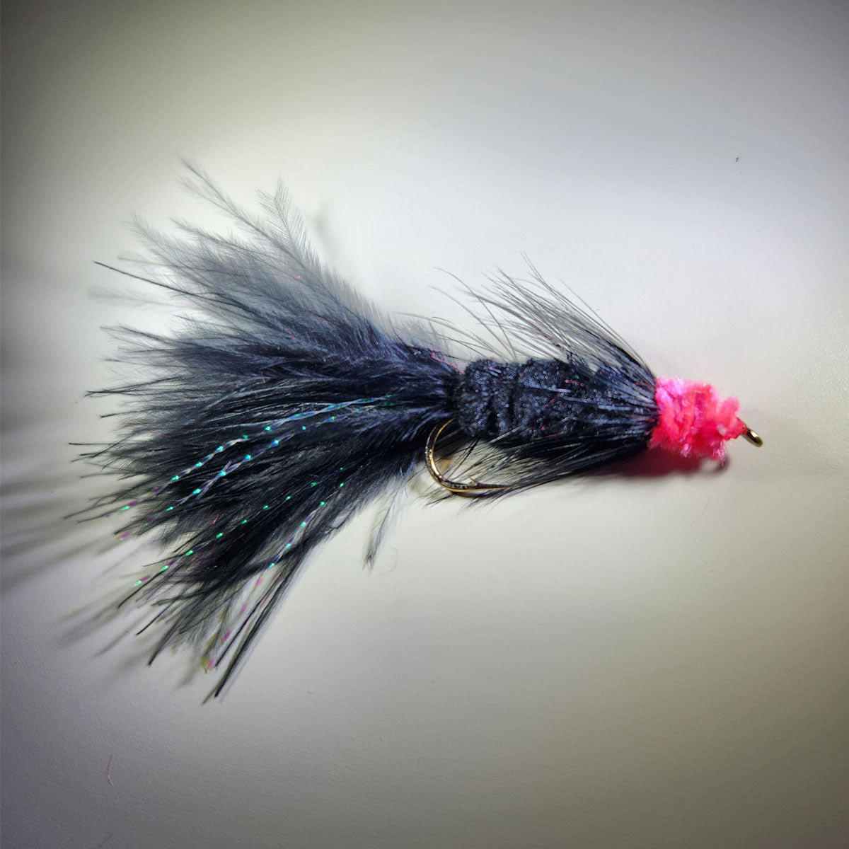 black pink egg sucking leech fly