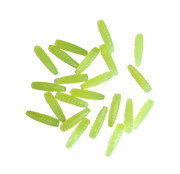 chartreuse mop fly
