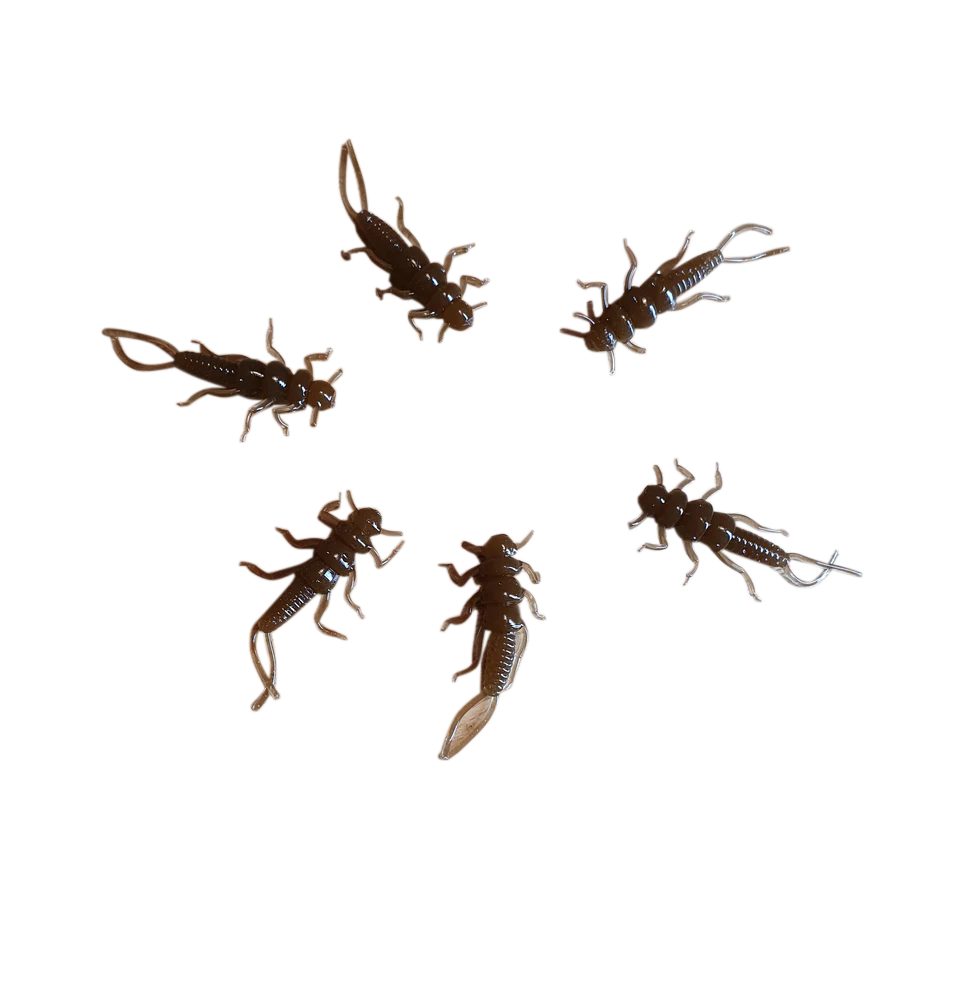 chocolate stonefly