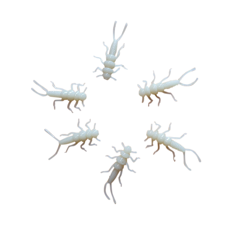 golden stone stonefly