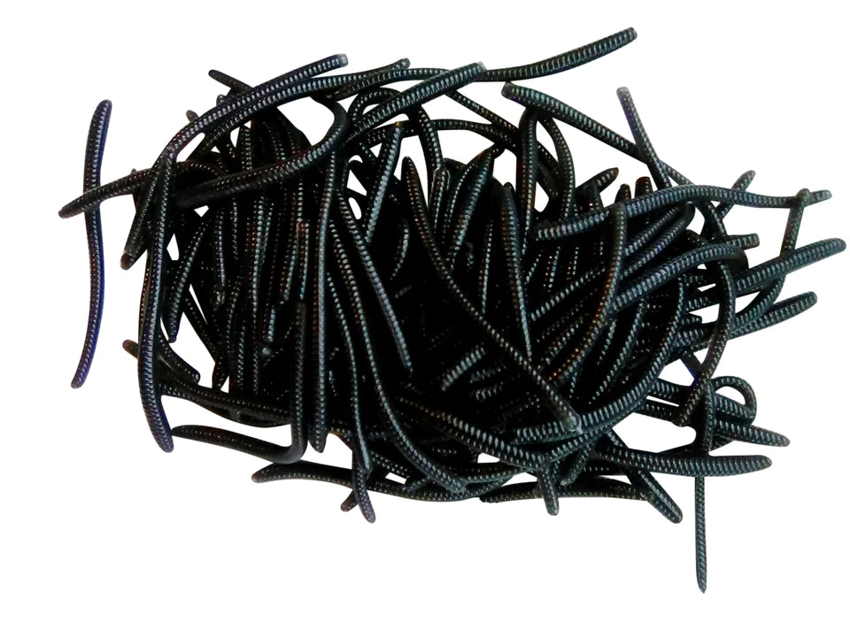 black trout worms