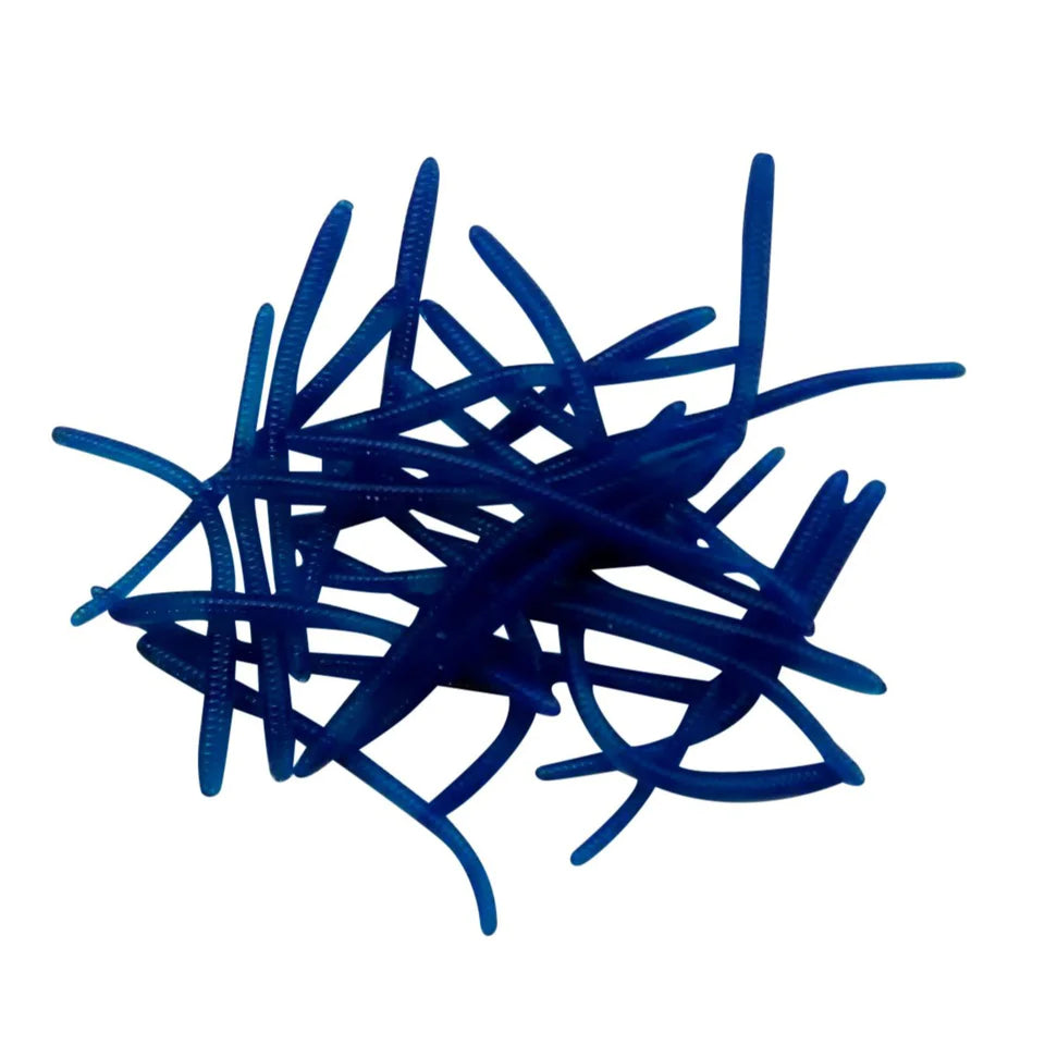 blueberry trout worms