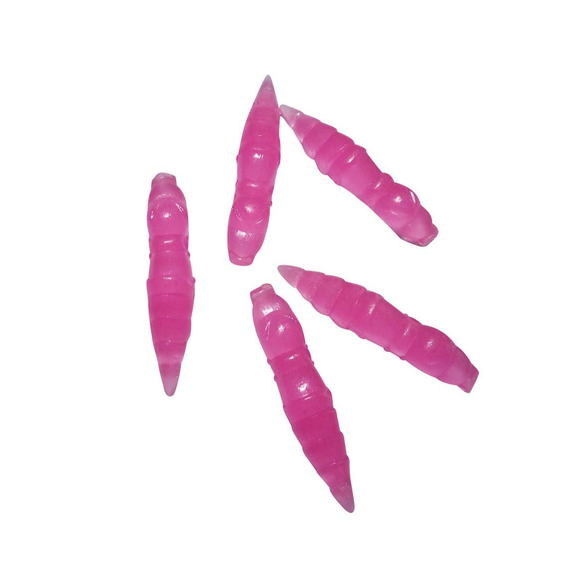 pink caddis pupa