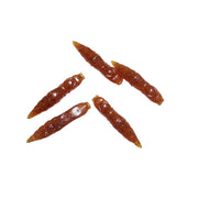 pumpkinseed caddis pupa