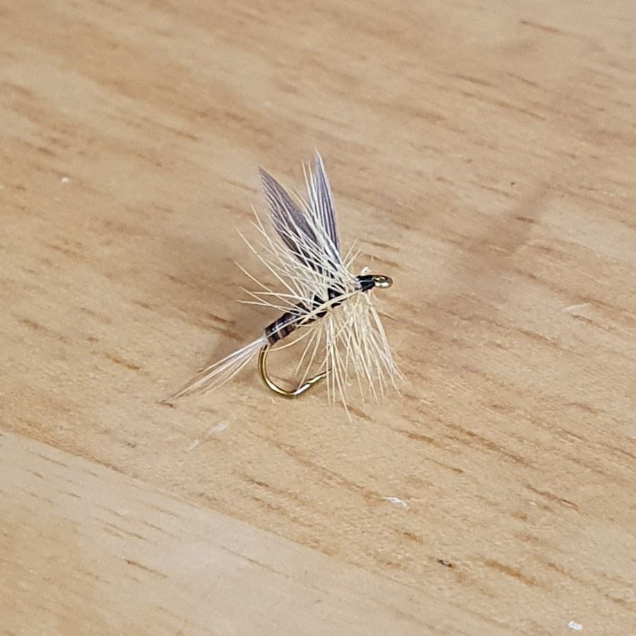 ginger quill
