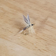 ginger quill
