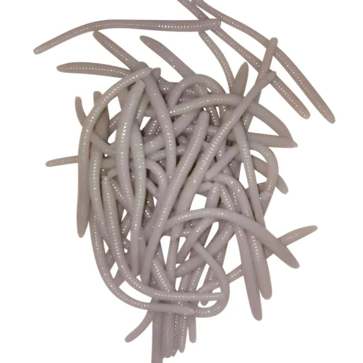 grey trout worms