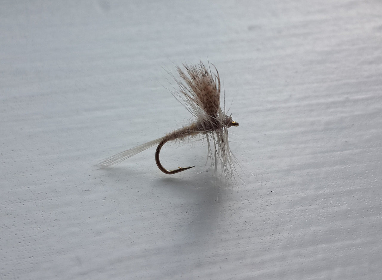 Light Cahill Dry Fly