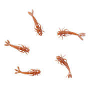 chocolate mayfly