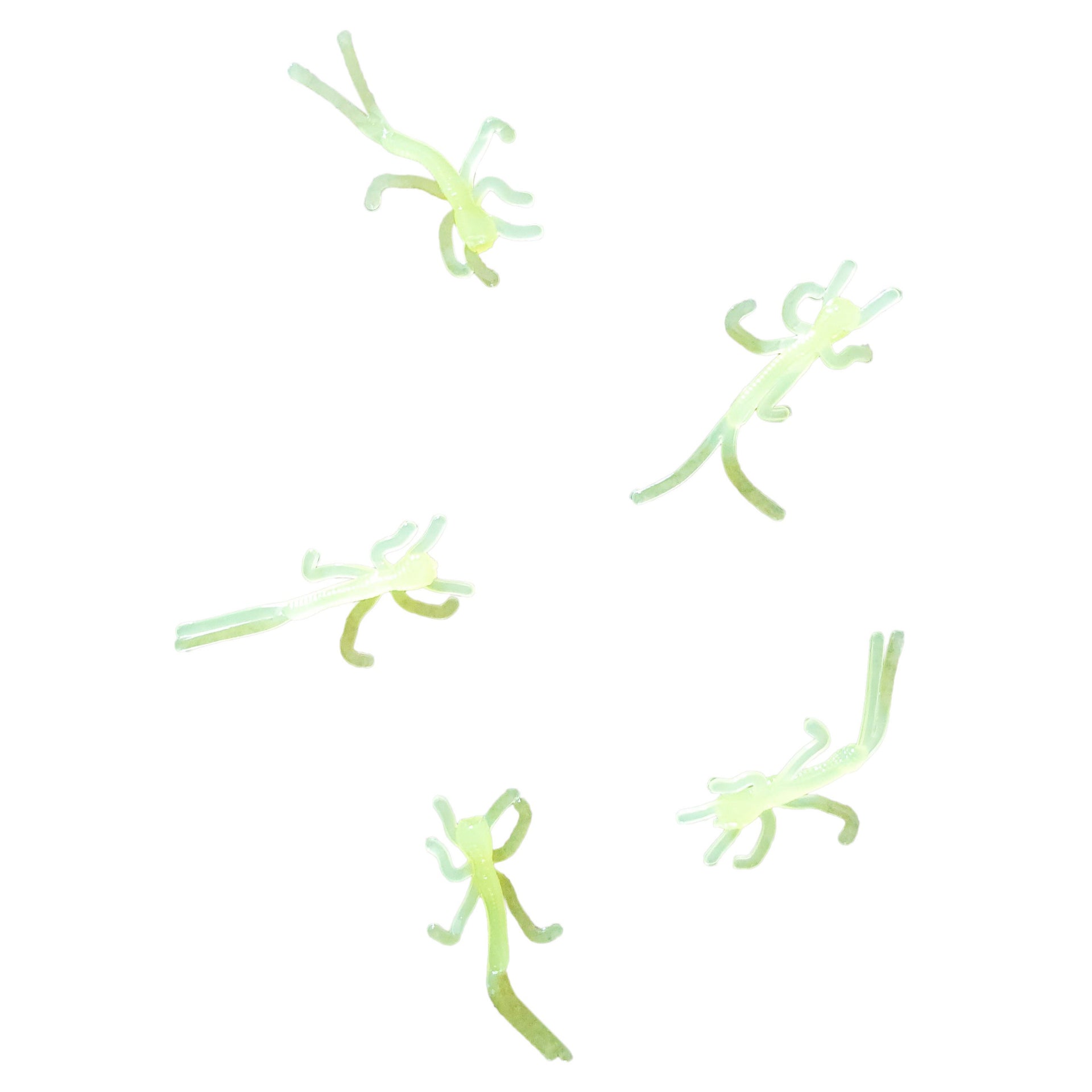 chartreuse micro nymphs