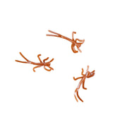 chocolate micro nymphs