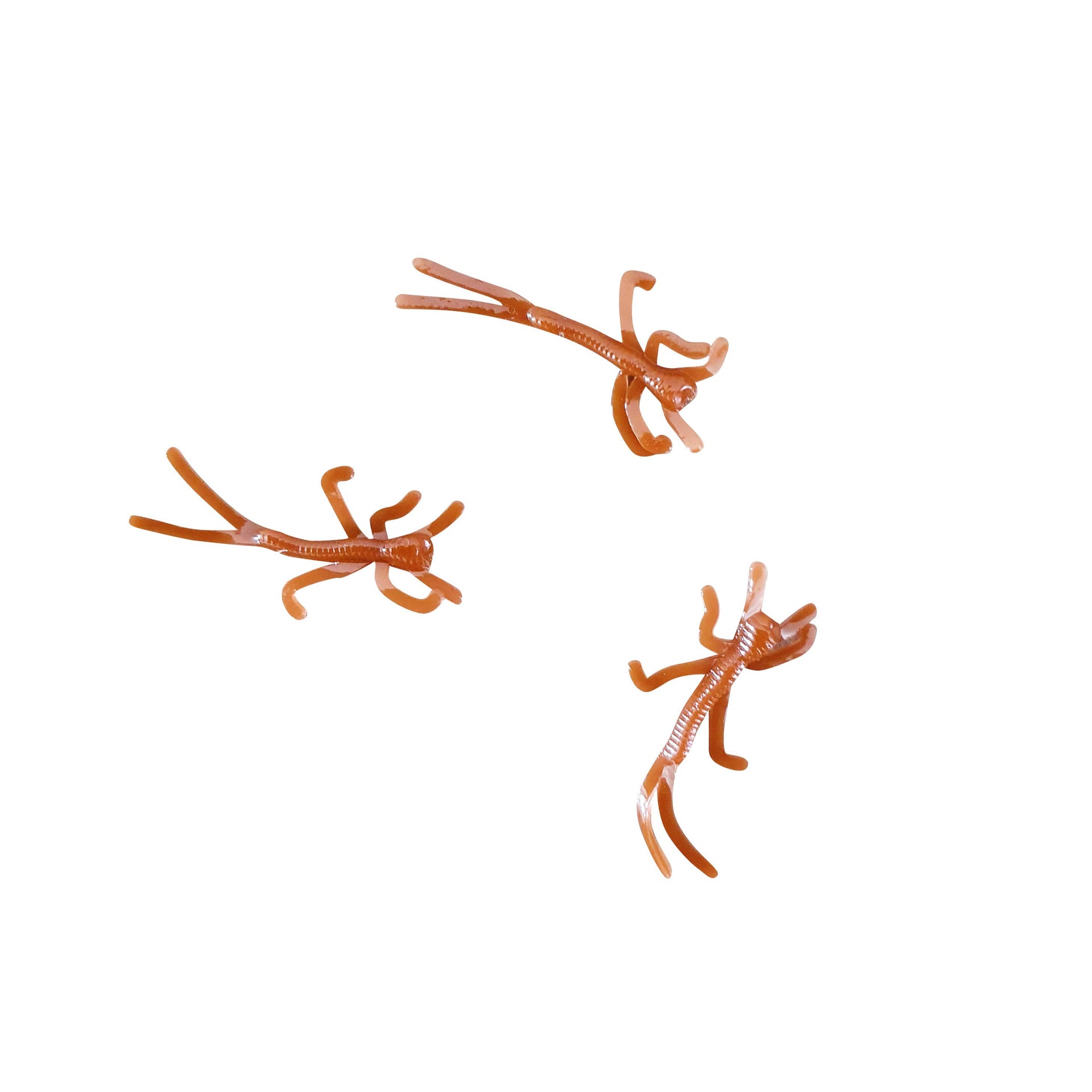 chocolate micro nymphs