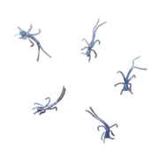 mystic smoke micro nymphs