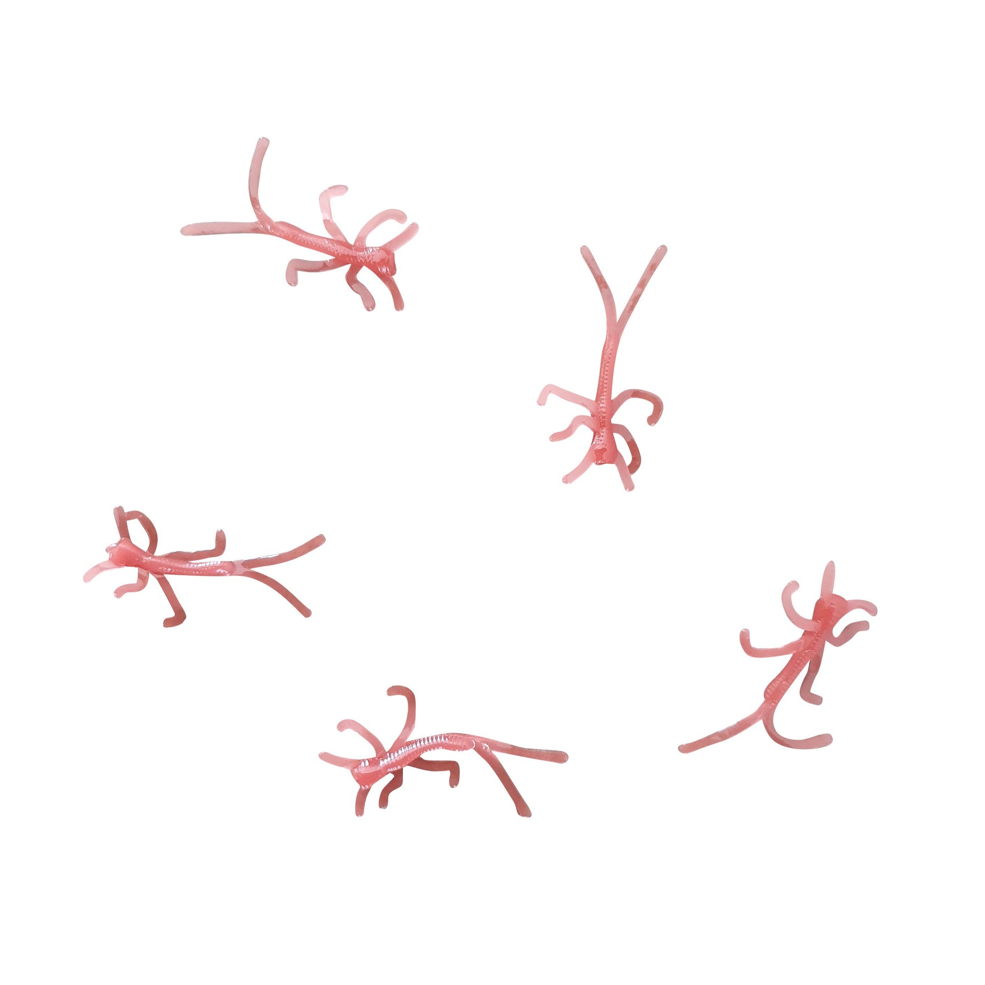 natural micro nymphs