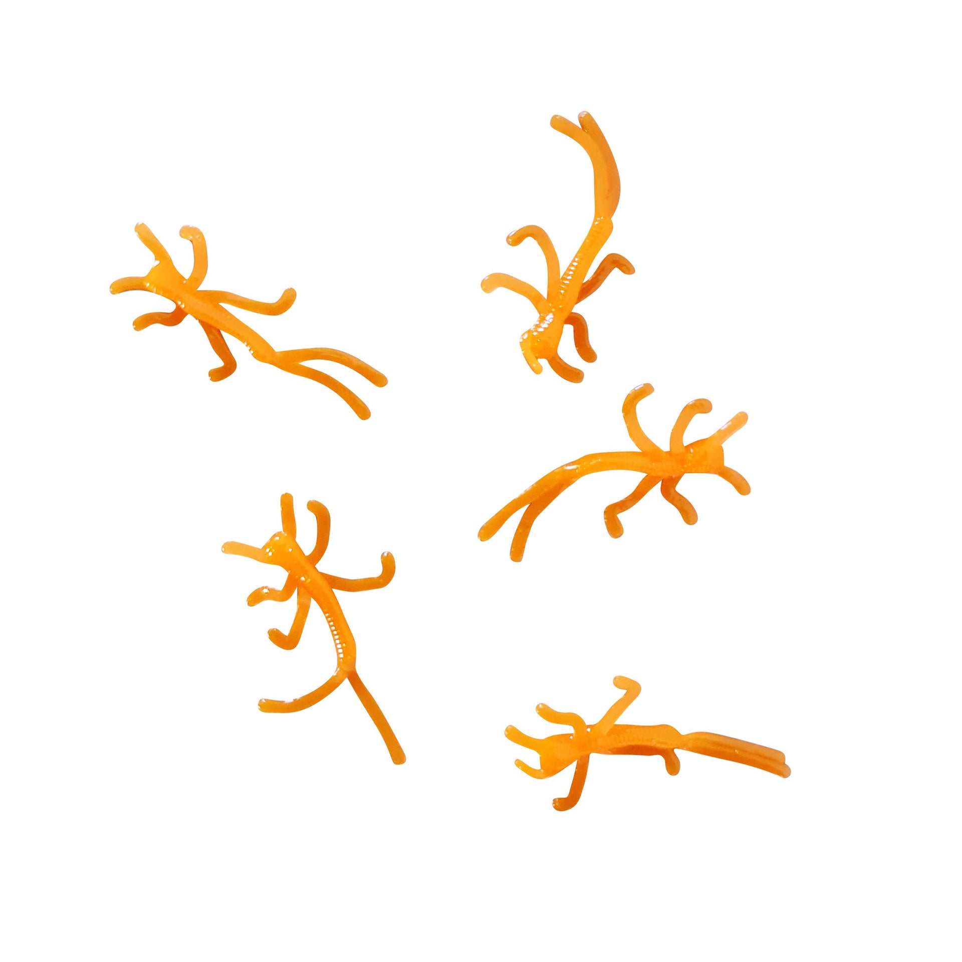 orange micro nymphs