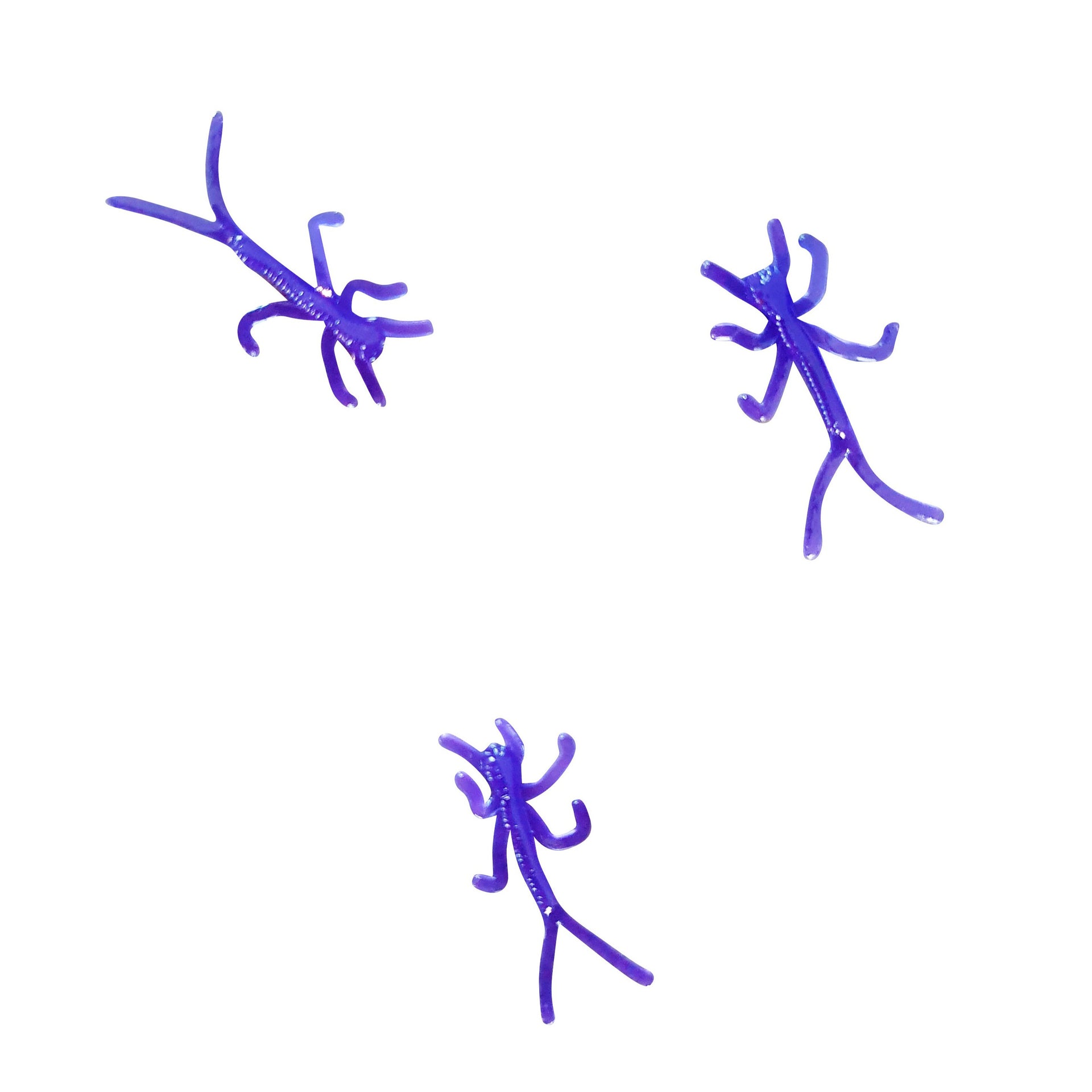 purple micro nymphs