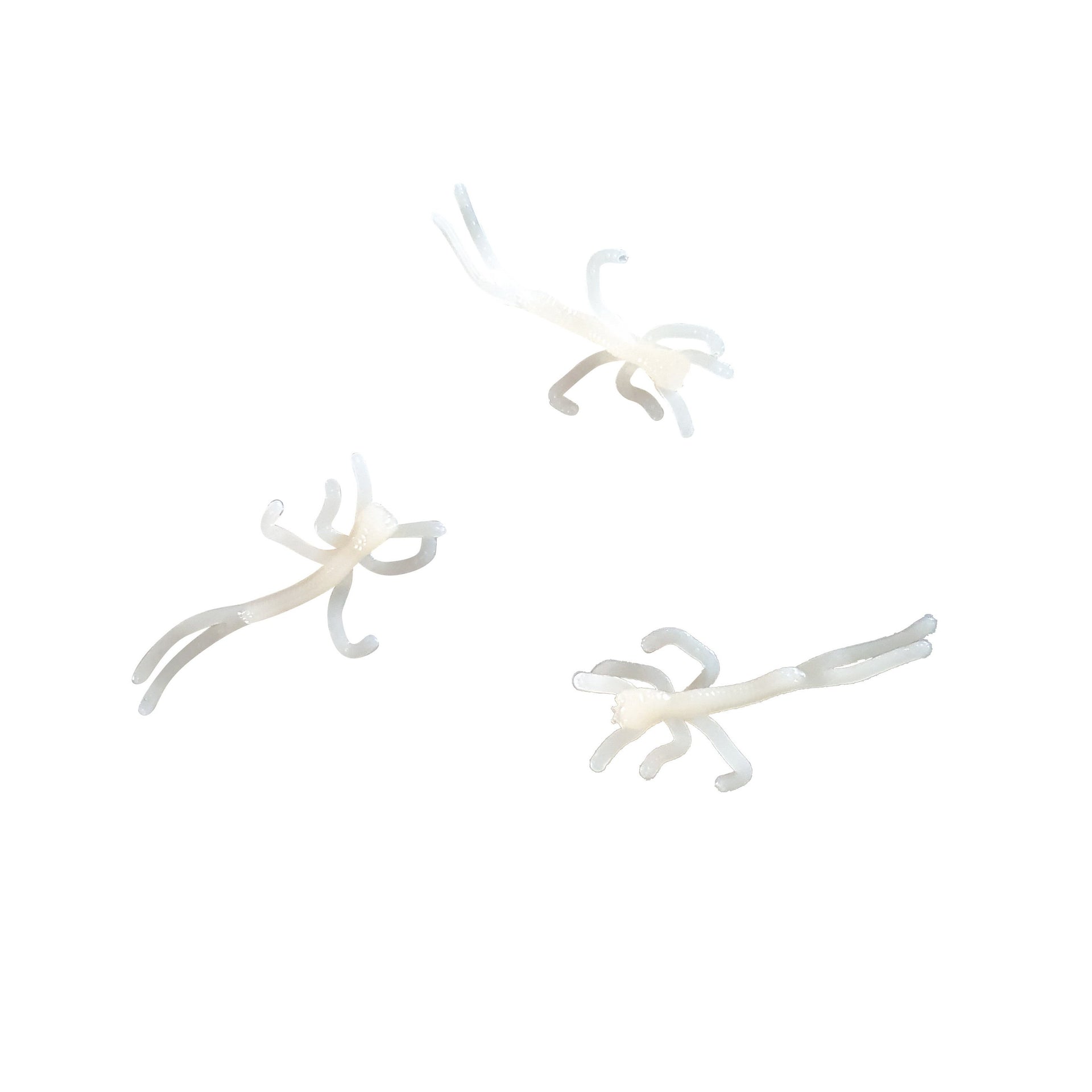 stonefly brown micro nymphs