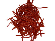 natural trout worms