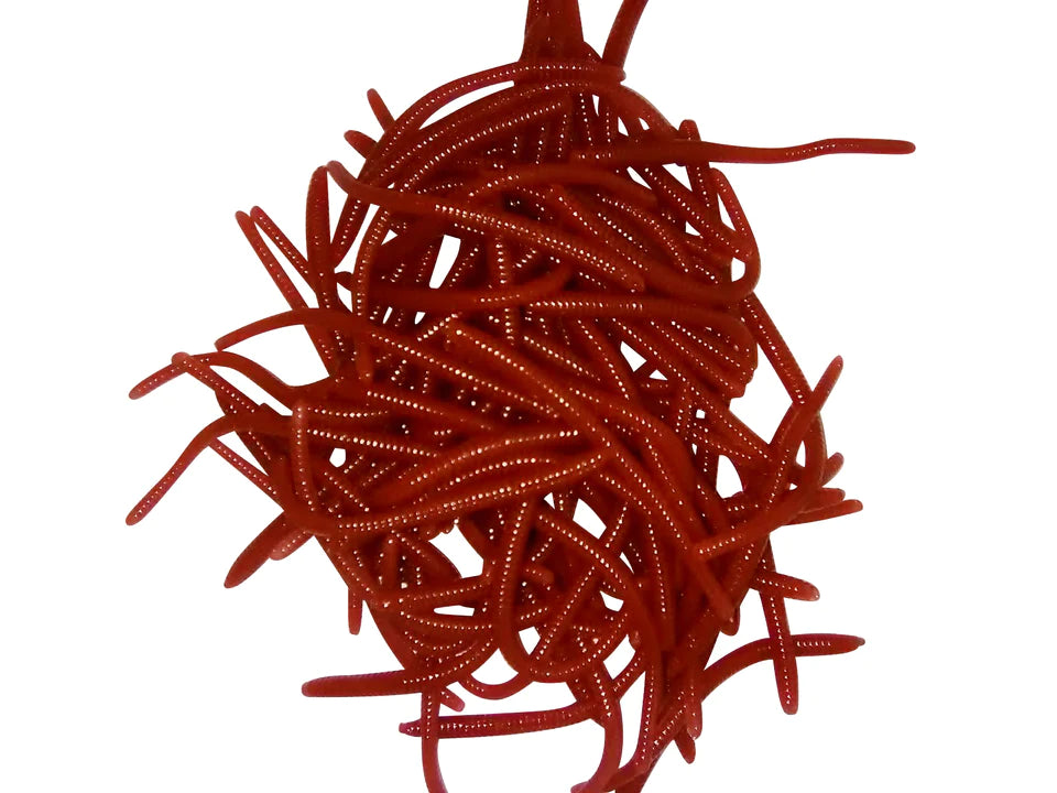 natural trout worms
