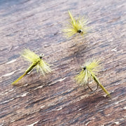 olive midge dry flies