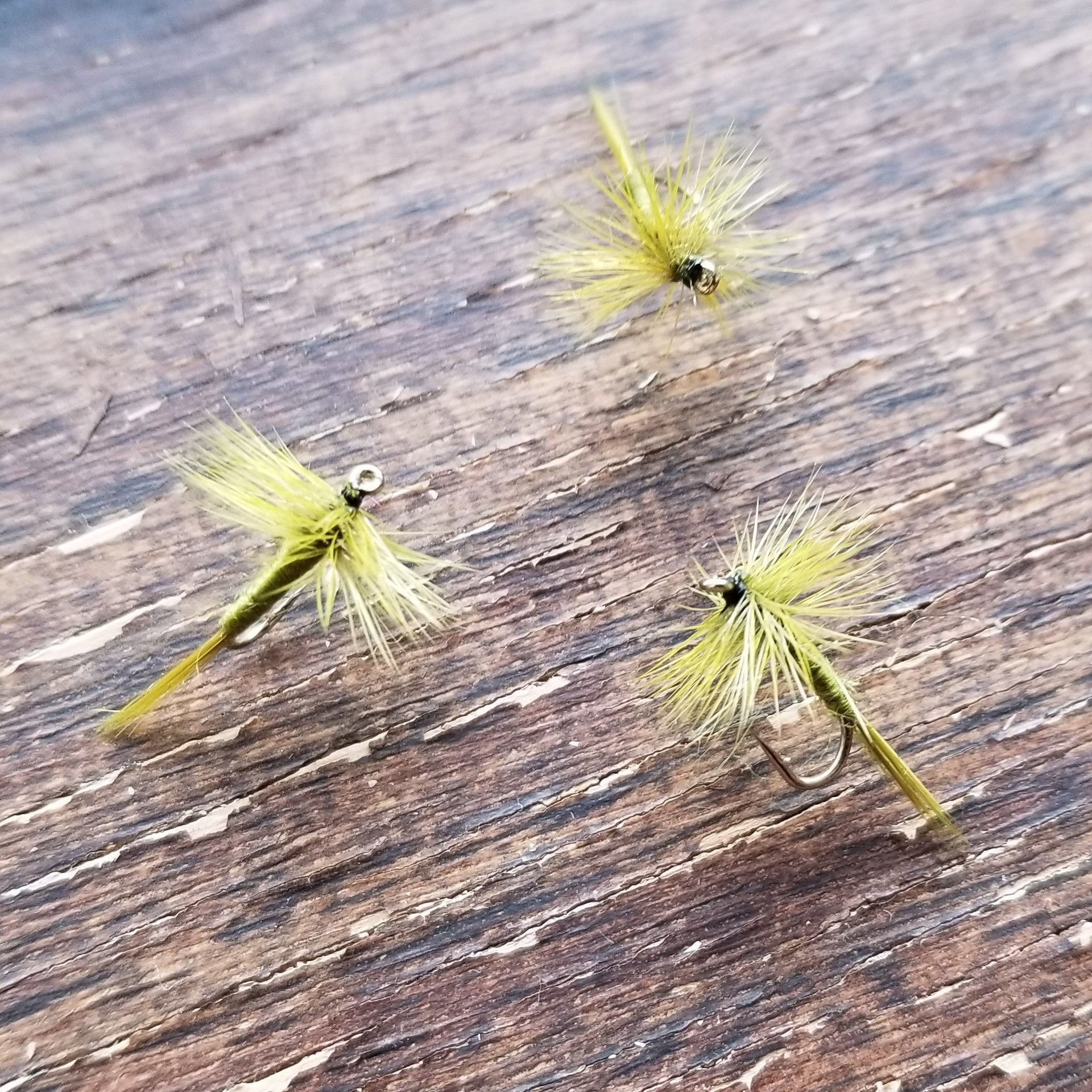 olive midge dry flies