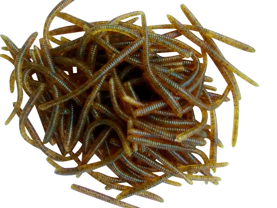 pumpkinseed trout worms