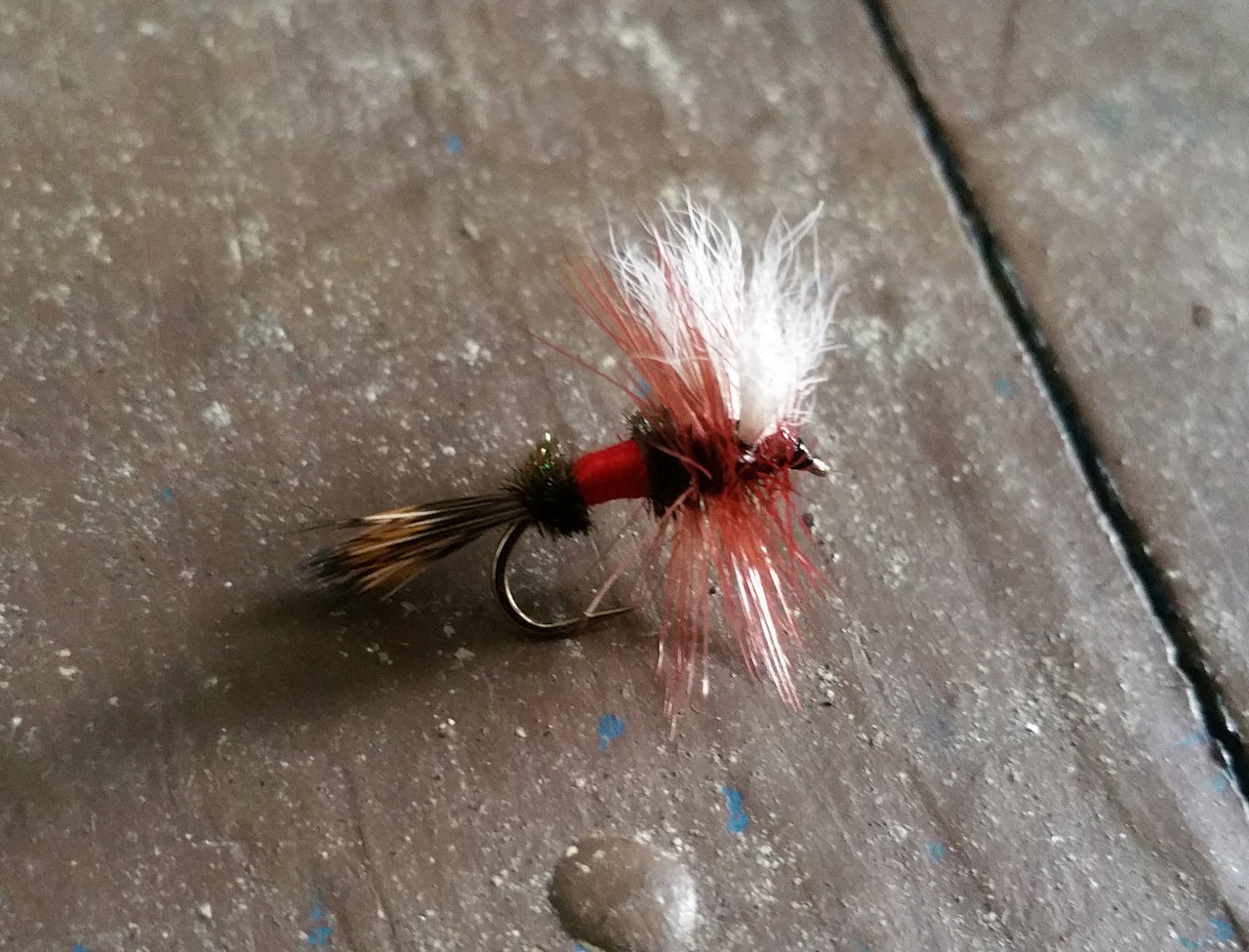 Royal Wulff Dry Fly