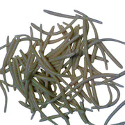 stonefly brown trout worms