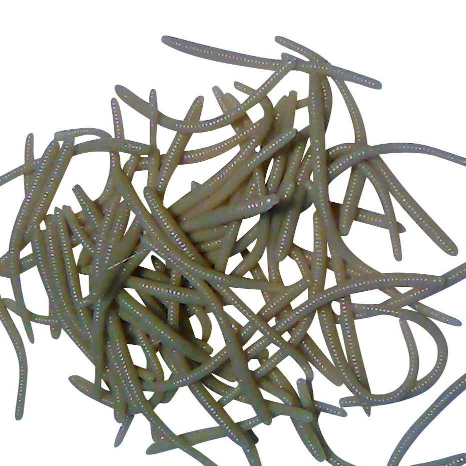 stonefly brown trout worms