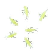 chartreuse stonefly