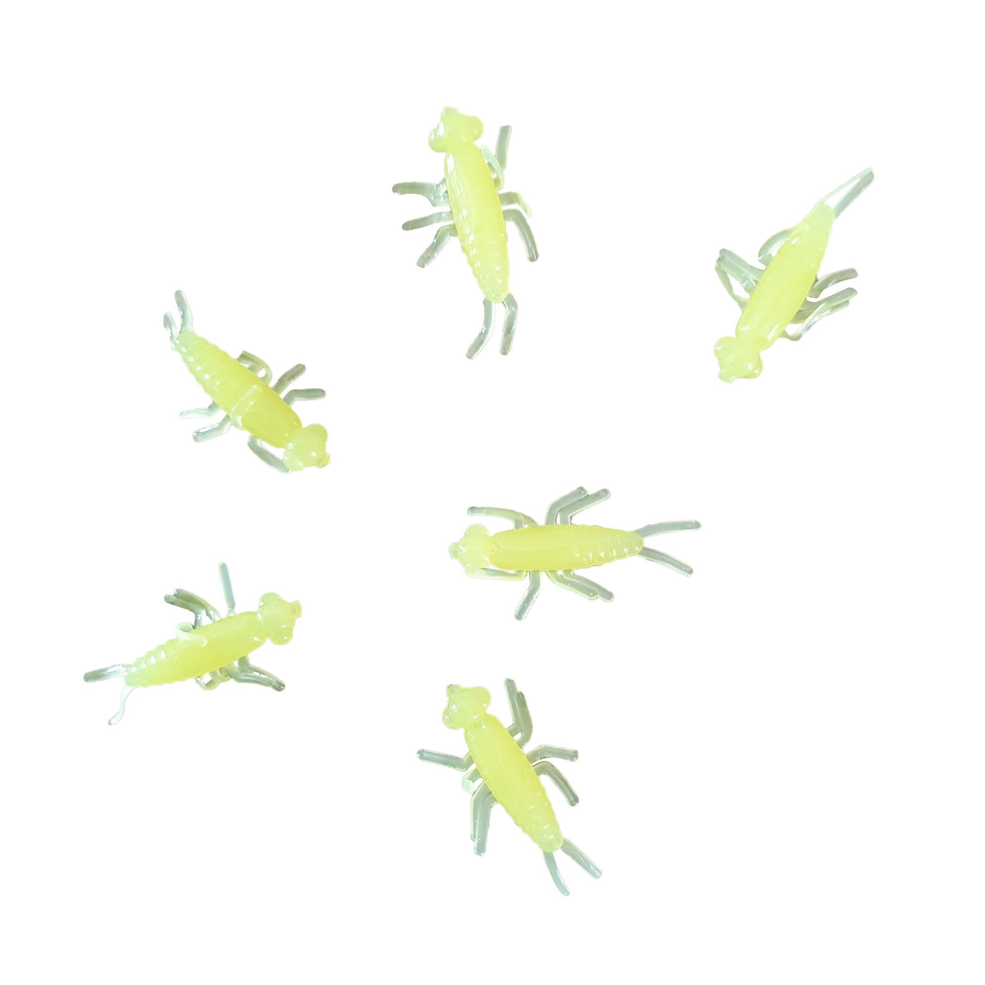 chartreuse stonefly