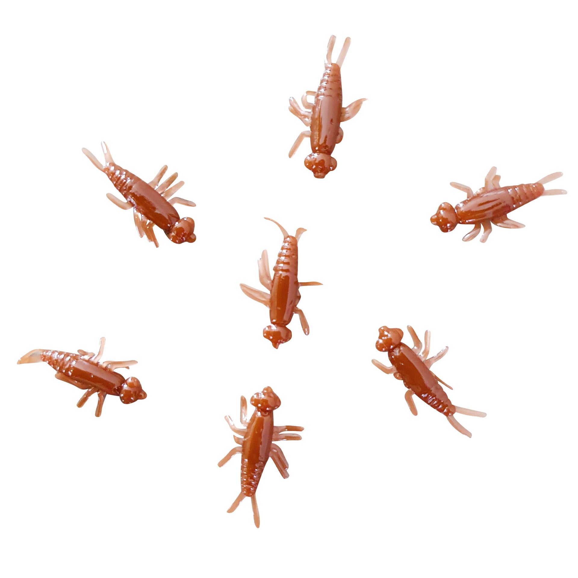 chocolate stonefly nymph
