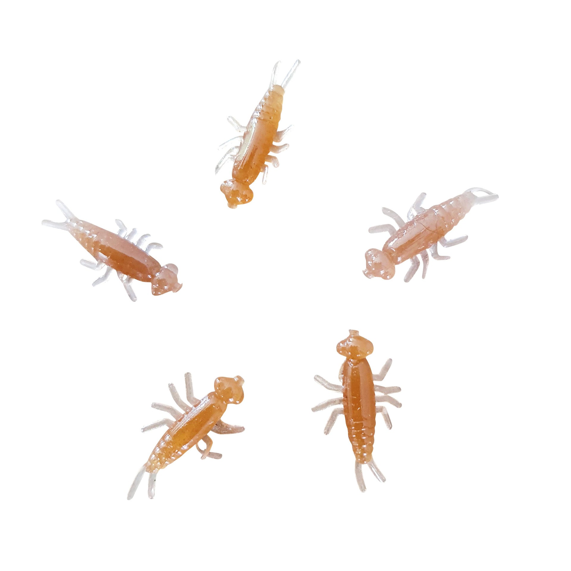 stonefly mayfly brown