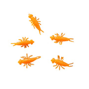orange stonefly