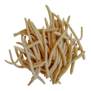 white gold trout worms