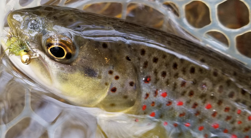 How to fly fish using a spinning rod