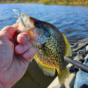 crappie caught on plastic stonefly