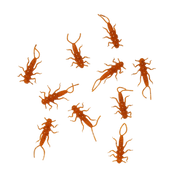 crayfish-stonefly-lure