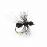 flying ant fly