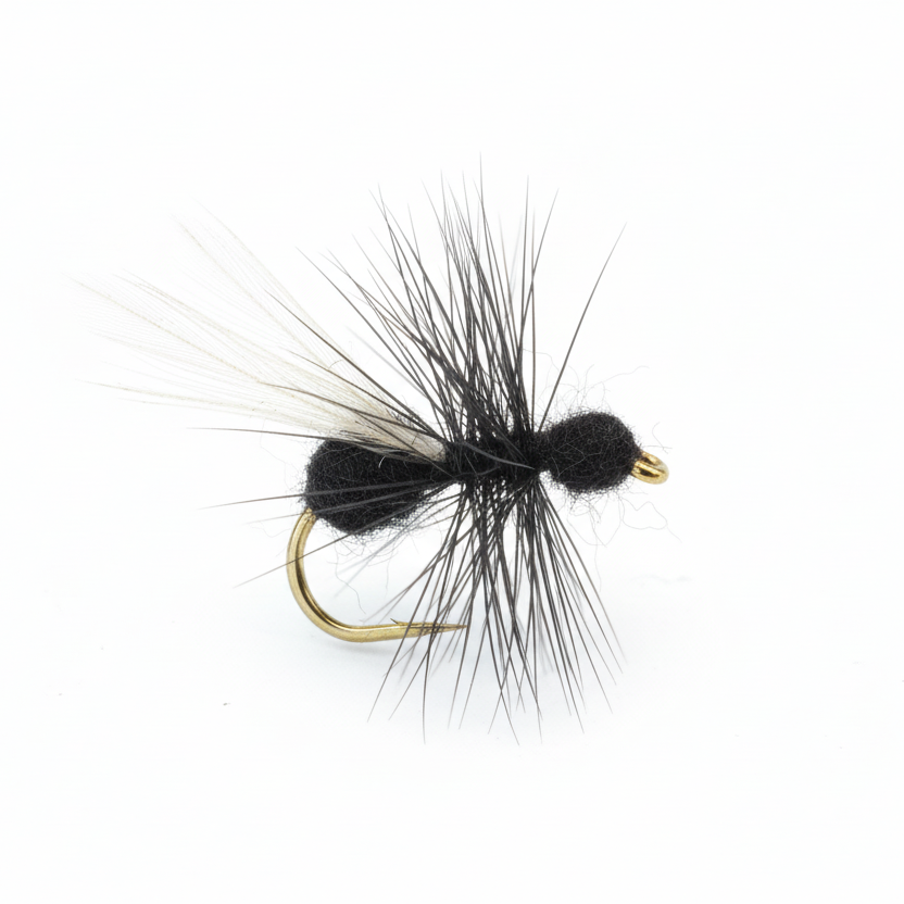 flying ant fly