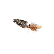 gold spoon march brown lure