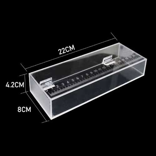 transparent fish viewing box large