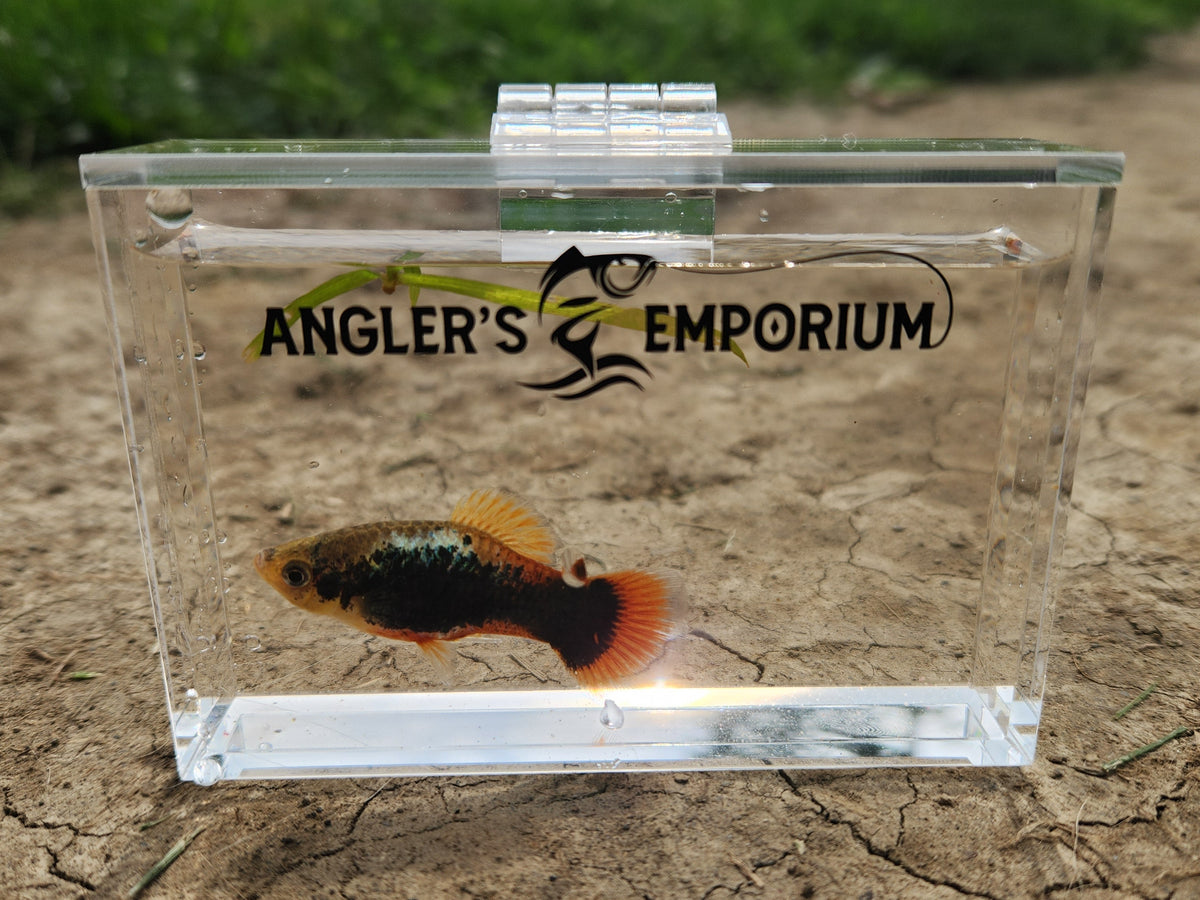 Small fish in a clear container with 'Angler's Emporium' logo on a natural background