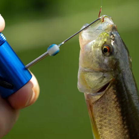 easiest fishing hook to remove Fish Removal Tool Hook Removal Tool: The Greatest