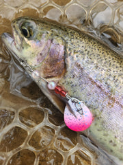 rainbow trout caught on single hook spinner
