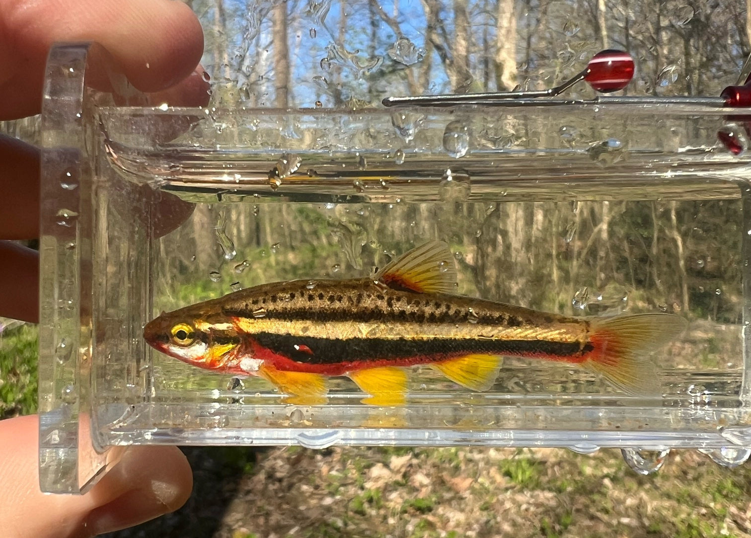 Acrylic Micro Fishing Photo Tank