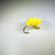 yellow sucker spawn fly