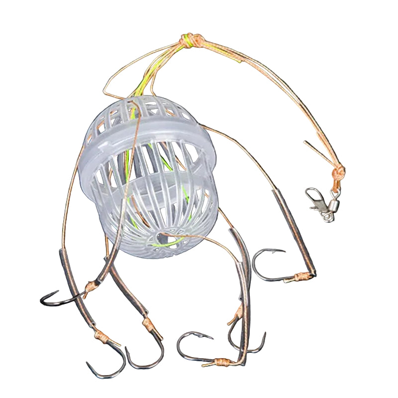 Asian Carp feeder rig